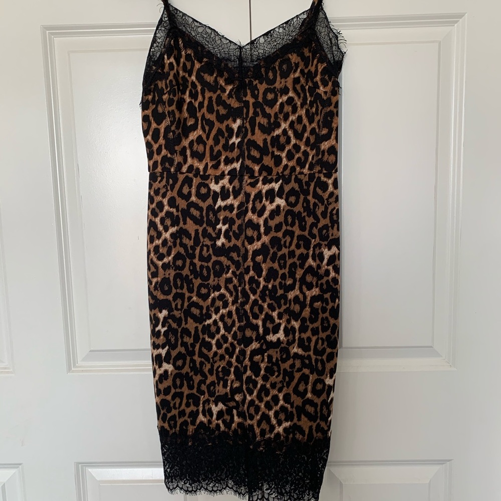 Venus animal print slip dress